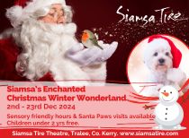 Siamsa Christmas Wonderland